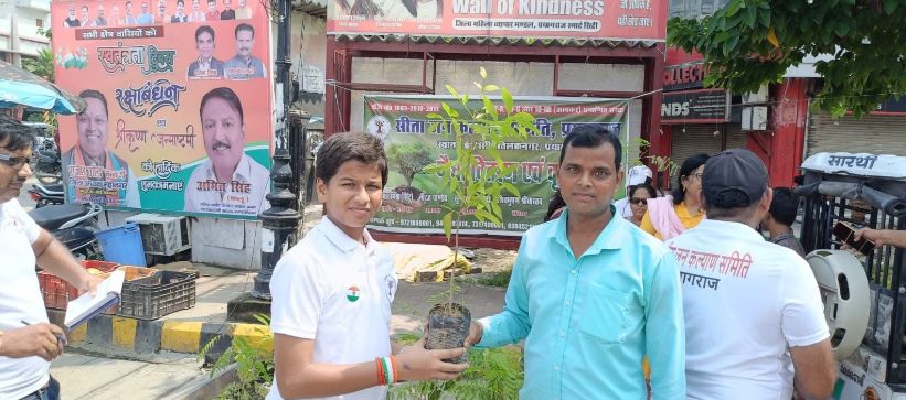 After - Cleaned and planted area